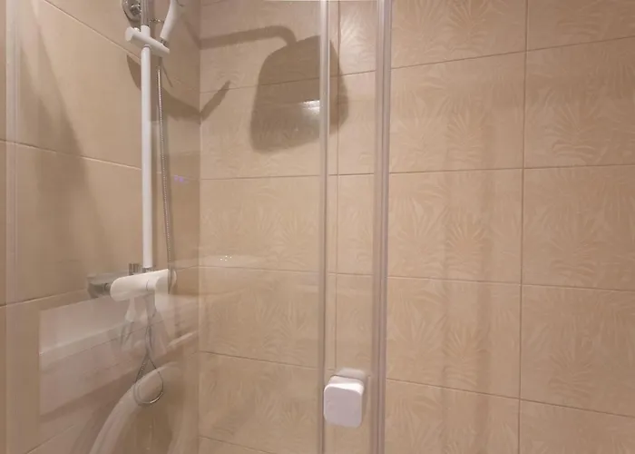 Les Dames De * Salies-de-Béarn